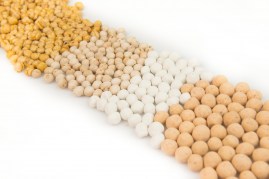 Chick Peas Category